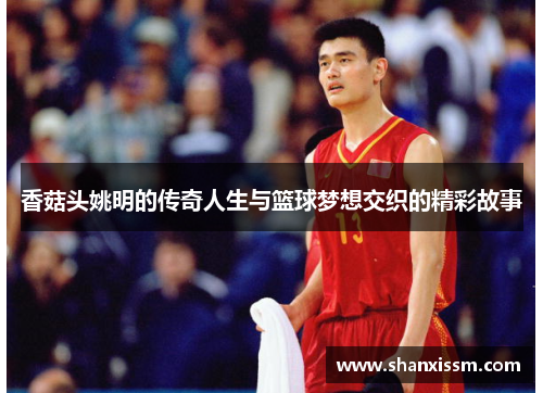 香菇头姚明的传奇人生与篮球梦想交织的精彩故事